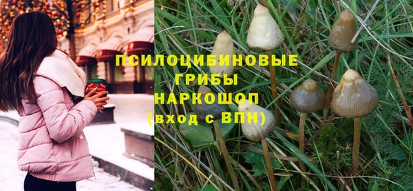 a pvp Заволжск
