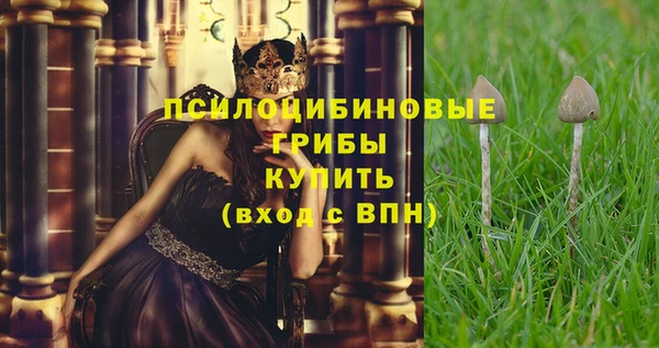 мяу мяу мука Ельня